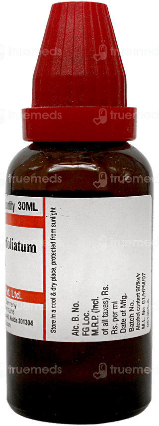 Dr Willmar Schwabe Eupatorium Perfoliatum 200ch Dilution 30ml