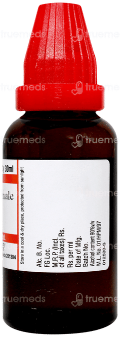Dr Willmar Schwabe Symphytum Officinale 30ch Dilution 30ml