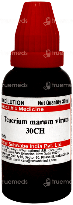 Dr Willmar Schwabe Teucrium Marum Verum 30ch Dilution 30ml