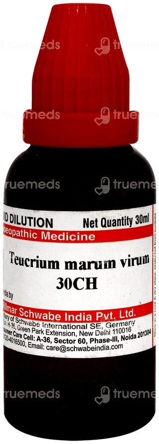 Dr Willmar Schwabe Teucrium Marum Verum 30ch Dilution 30ml
