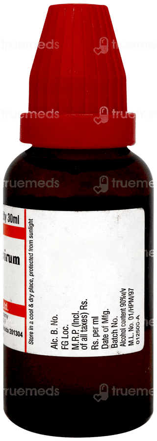 Dr Willmar Schwabe Teucrium Marum Verum 30ch Dilution 30ml