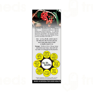 Basic Ayurveda Bhumi Amla & Giloy Mix Juice 450Ml