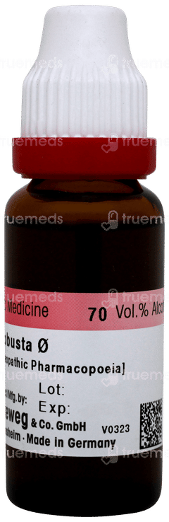 Dr Reckeweg Grindelia Robusta Q Mother Tincture 20ml