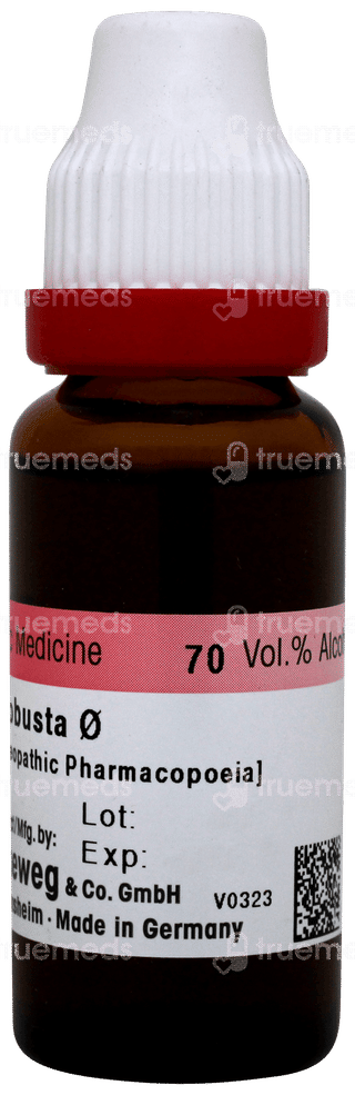 Dr Reckeweg Grindelia Robusta Q Mother Tincture 20ml