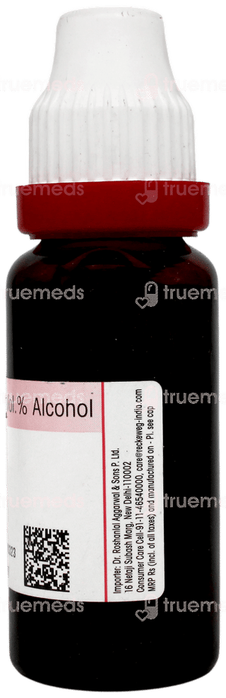 Dr Reckeweg Pothos Foetidus Q Mother Tincture 20Ml