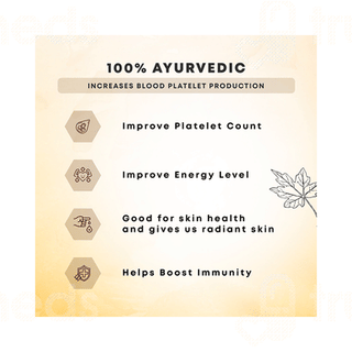 Four Seasons Papaya Leaf Juice 500ml