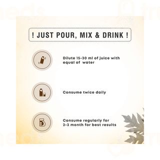 Four Seasons Papaya Leaf Juice 500ml