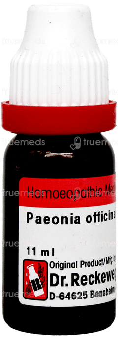 Dr Reckeweg Paeonia Officinalis 30 Dilution 11ml Dr Reckeweg Paeonia Officinalis 30 Dilution 11ml