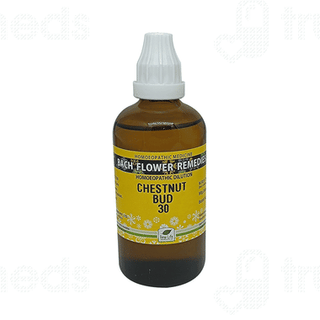 New Life Bach Flower Remedies Chestnut Bud 30 Dilution 100ml