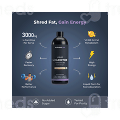 Nutrabay Pro L Carnitine + Vitamin B5 Raspberry Blast Liquid 450ml