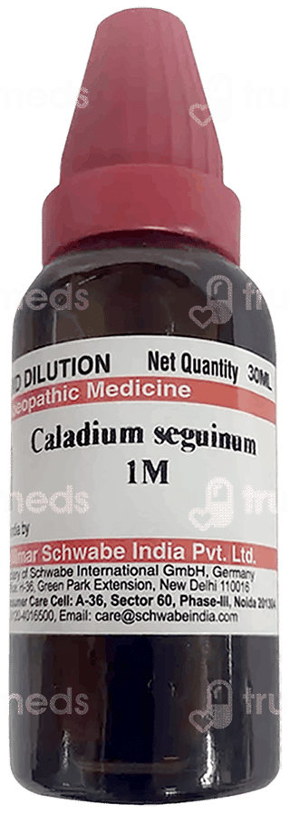 Dr Willmar Schwabe Caladium Seguinum 1M Dilution 30Ml