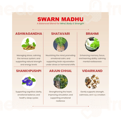 Dhanwantri Pharmaceutical Swarn Madhu 380ml