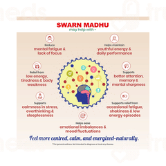 Dhanwantri Pharmaceutical Swarn Madhu 380ml