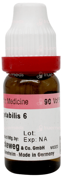 Dr Reckeweg Carbo Vegetabilis 6 Dilution 11ml Dr Reckeweg Carbo Vegetabilis 6 Dilution 11ml