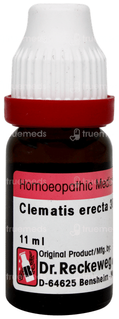 Dr Reckeweg Clematis Erecta 30 Dilution 11ml