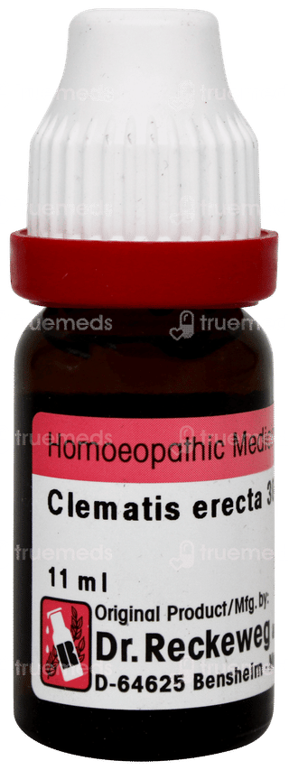 Dr Reckeweg Clematis Erecta 30 Dilution 11ml