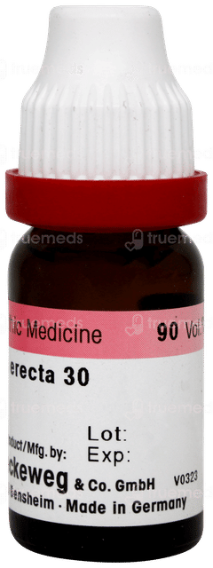 Dr Reckeweg Clematis Erecta 30 Dilution 11ml