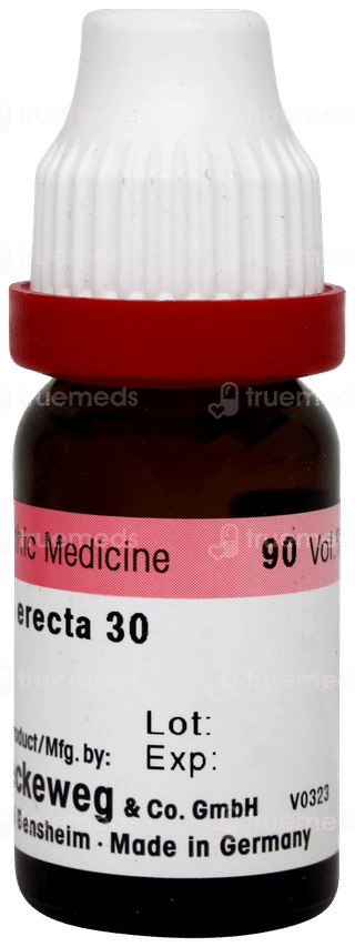 Dr Reckeweg Clematis Erecta 30 Dilution 11ml