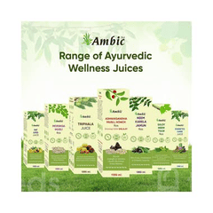 Ambic Ashwagandha Musli Konch Ras Enriched With Shilajit No Sugar 500ml