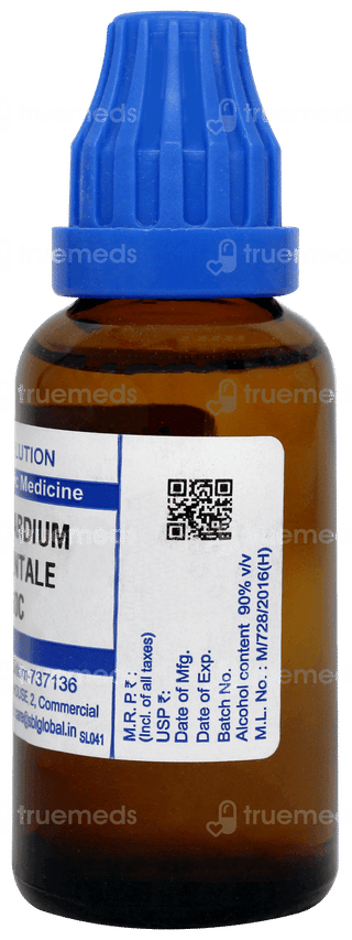 Sbl Anacardium Orientale 30c Dilution 30ml