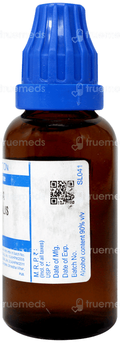 Sbl Blatta Orientalis 30c Dilution 30ml Sbl Blatta Orientalis 30c Dilution 30ml