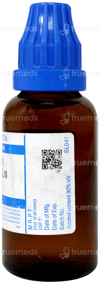 Sbl Blatta Orientalis 30c Dilution 30ml