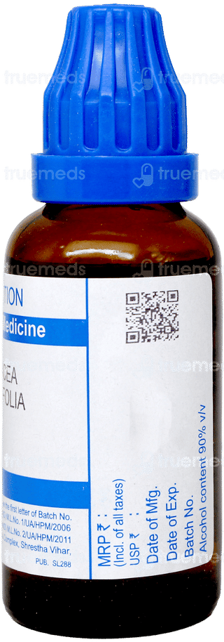 Sbl Echinacea Angustifolia 30C Dilution 30Ml