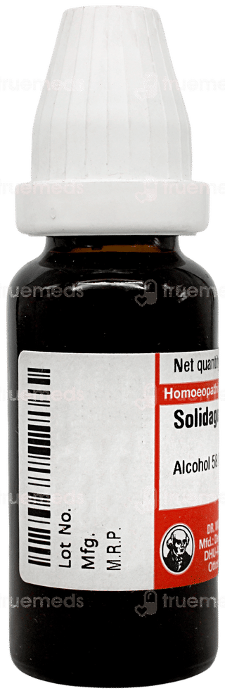 Dr Willmar Schwabe Solidago Virgaurea Q Mother Tincture 20ml