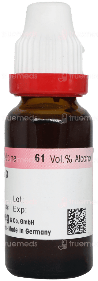 Dr Reckeweg Ammi Visnaga Q Mother Tincture 20ml