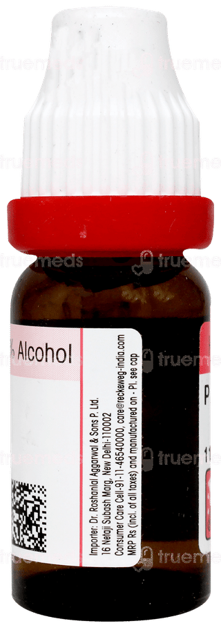 Dr Reckeweg Pyrogenium 200 Dilution 11ml