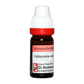 Dr Reckeweg Collinsonia Canadensis Q Mother Tincture 20Ml