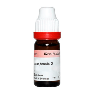 Dr Reckeweg Collinsonia Canadensis Q Mother Tincture 20Ml