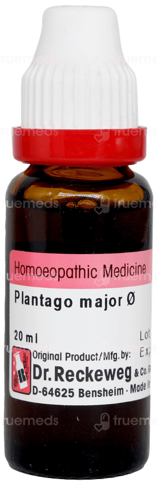 Dr Reckeweg Plantago Major Q Mother Tincture 20ml