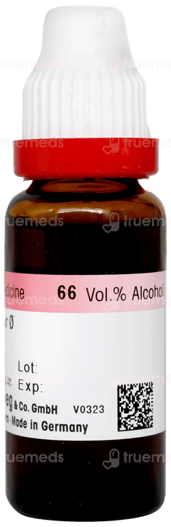 Dr Reckeweg Plantago Major Q Mother Tincture 20ml Dr Reckeweg Plantago Major Q Mother Tincture 20ml