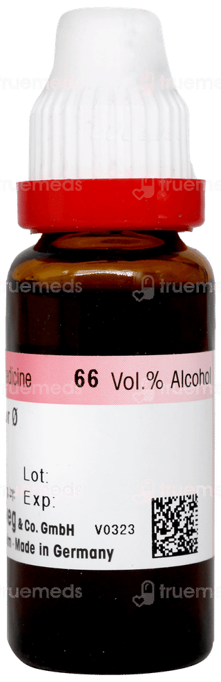 Dr Reckeweg Plantago Major Q Mother Tincture 20ml