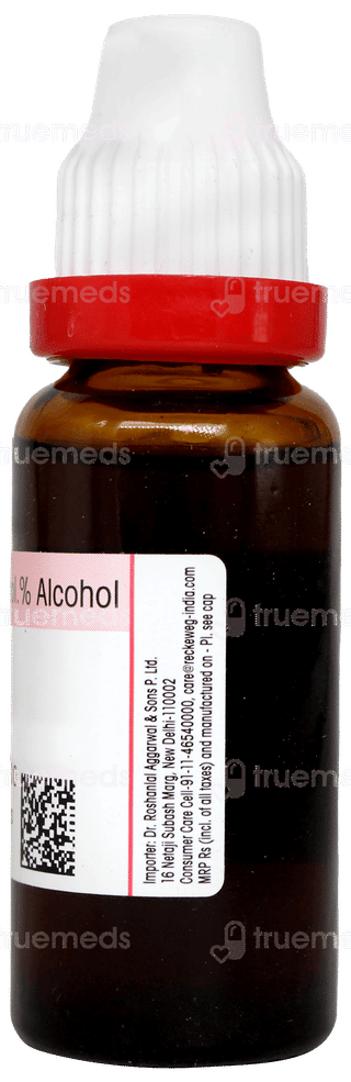 Dr Reckeweg Plantago Major Q Mother Tincture 20ml