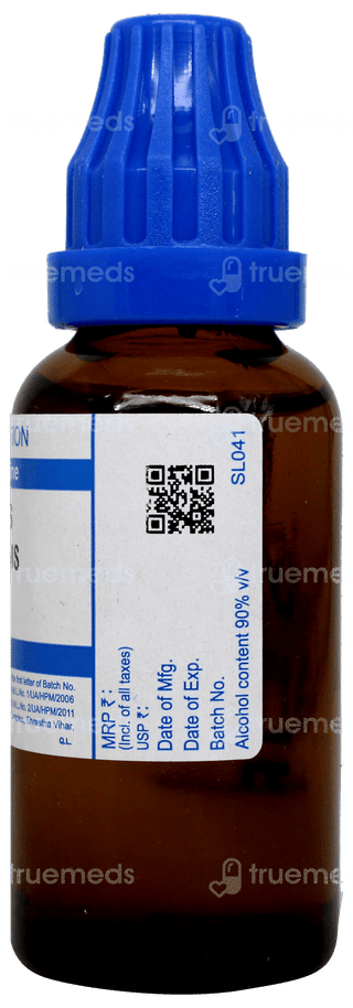 Sbl Bellis Perennis 200c Dilution 30ml