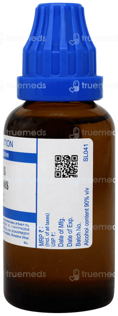 Sbl Bellis Perennis 30c Dilution 30ml