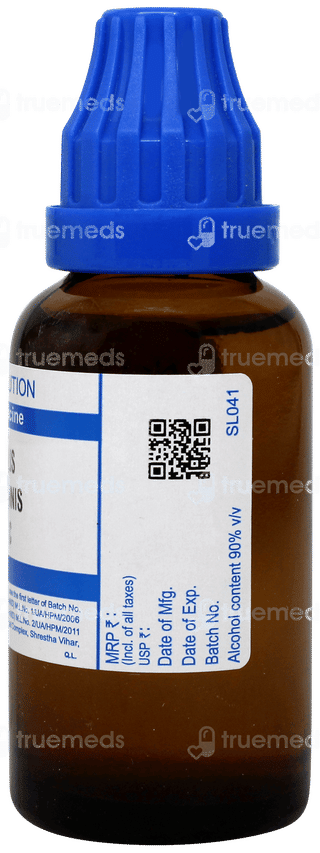 Sbl Bellis Perennis 30c Dilution 30ml