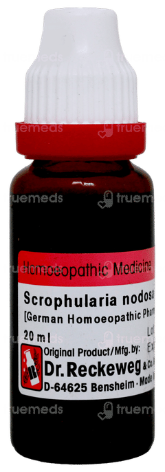 Dr Reckeweg Scrophularia Nodosa Q Mother Tincture 20ml Dr Reckeweg Scrophularia Nodosa Q Mother Tincture 20ml
