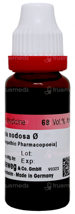 Dr Reckeweg Scrophularia Nodosa Q Mother Tincture 20ml Dr Reckeweg Scrophularia Nodosa Q Mother Tincture 20ml