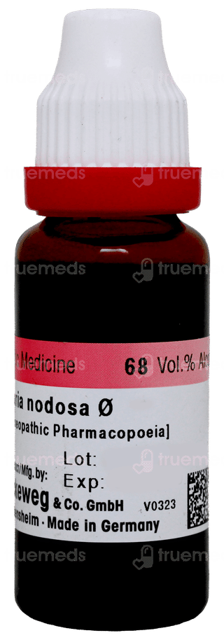 Dr Reckeweg Scrophularia Nodosa Q Mother Tincture 20ml