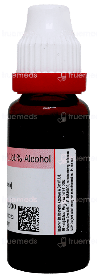 Dr Reckeweg Scrophularia Nodosa Q Mother Tincture 20ml