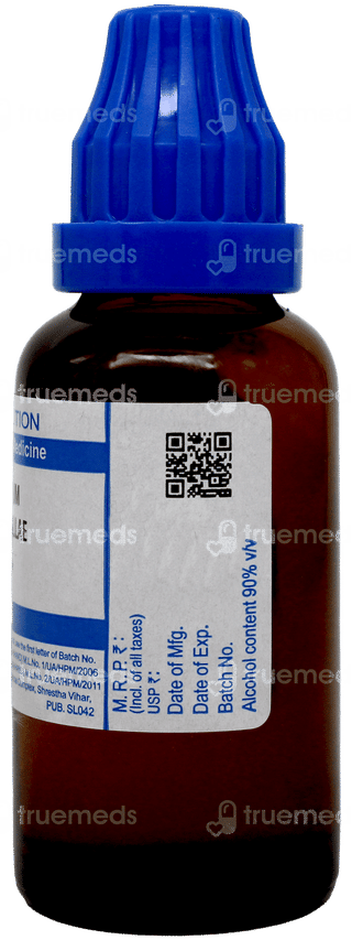 Sbl Serum Anguillae 6c Dilution 30ml