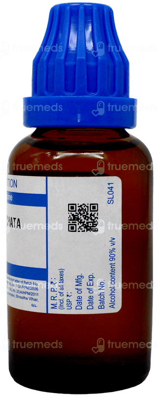 Sbl Nux Moschata 30c Dilution 30ml
