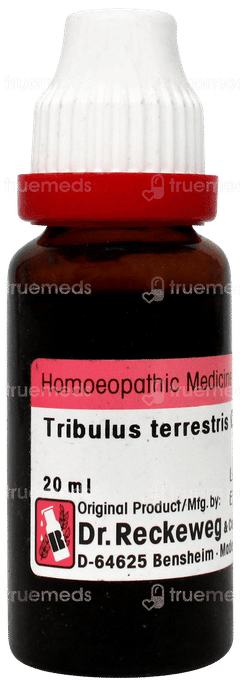 Dr Reckeweg Tribulus Terrestris Q Mother Tincture 20ml