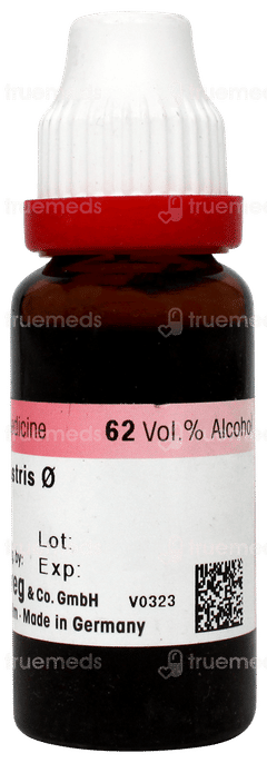 Dr Reckeweg Tribulus Terrestris Q Mother Tincture 20ml