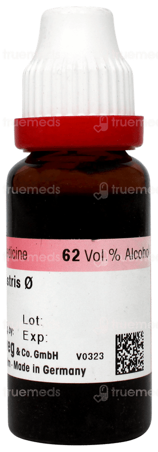 Dr Reckeweg Tribulus Terrestris Q Mother Tincture 20ml