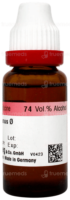 Dr Reckeweg Carduus Marianus Q Mother Tincture 20ml