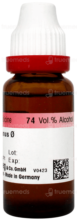 Dr Reckeweg Carduus Marianus Q Mother Tincture 20ml